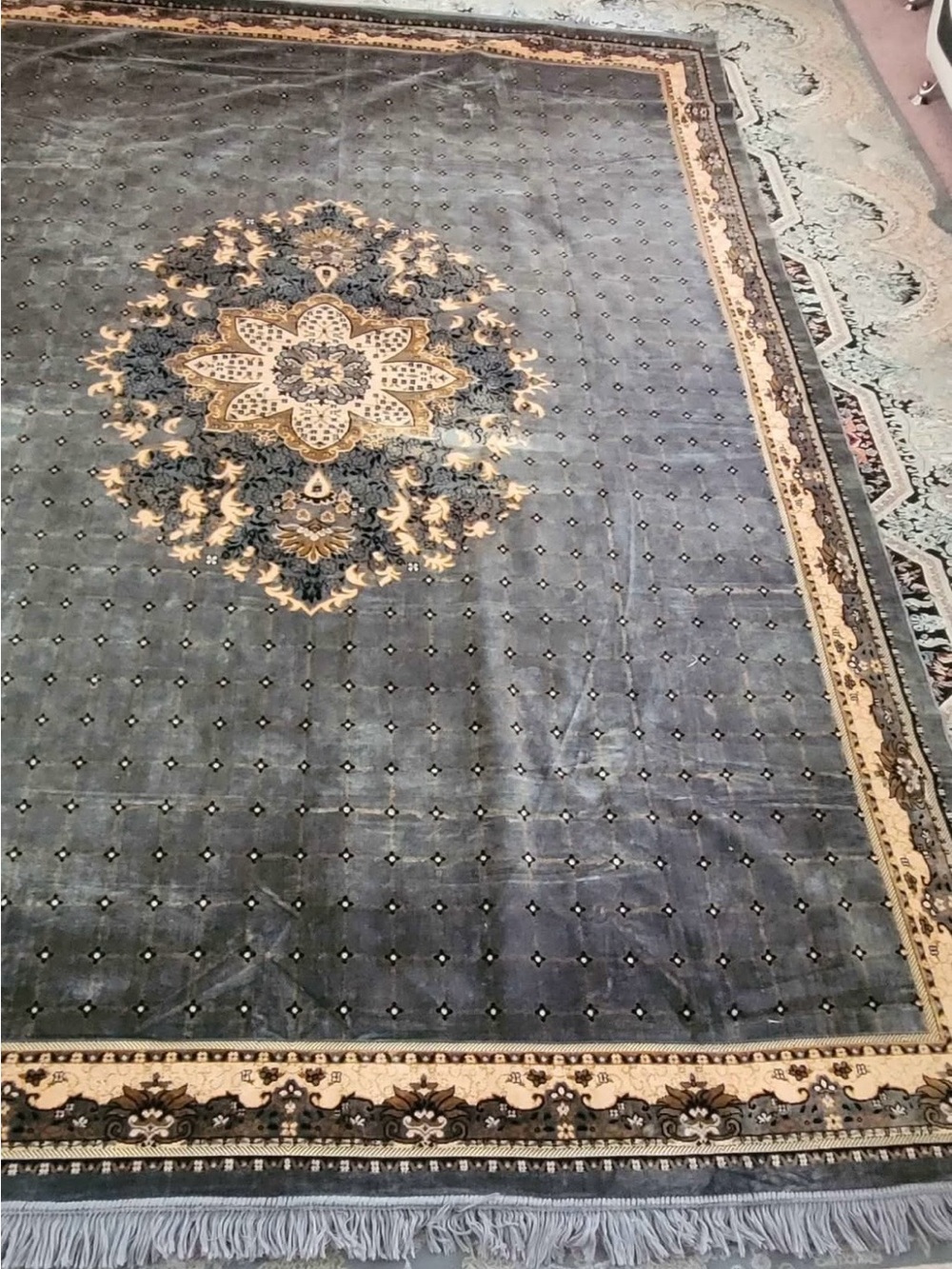Traditional Medallion Area Rug in Blue and Cream